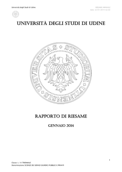 Riesame 2014 - Universit&agrave; di Udine