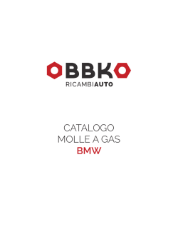 Catalogo MollE a gaS BmW
