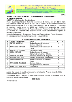 delibera n.7 - Piano di Zona S/10