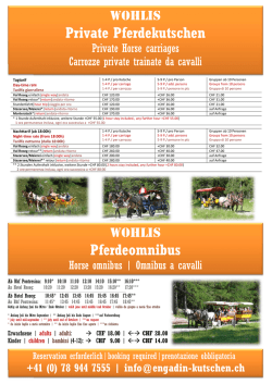 Private Pferdekutschen (Sommer)