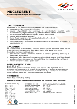 NUCLEOBENTBentonite sodica attivata purissima