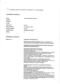 CURRICULUM VITAE MARIA ANTONIETTA ZUNCHEODU