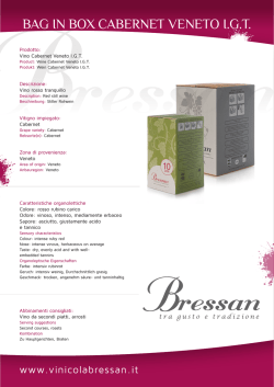 BAG IN BOX CABERNET VENETO I.G.T.