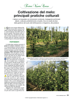 Coltivazione del melo_pratiche