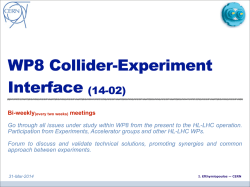 WP8 Collider-Experiment Interface (14-02) - Indico