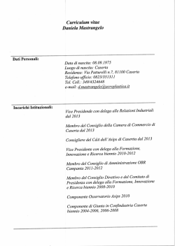 Curriculum vitae Daniela Mastrangelo