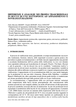 Quad. 30 - Interno oki