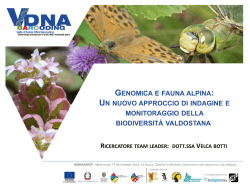 Presentazione standard di PowerPoint