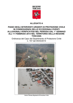 ALLEGATO A PIANO DEGLI INTERVENTI