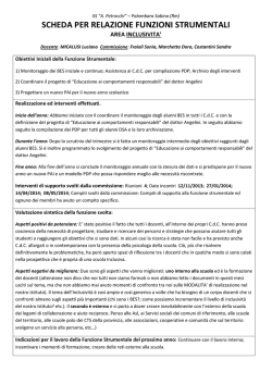 FRONTESPIZIO Relazione finale Funzione strumentale INclusione