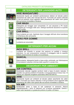 DETERGENTI PER LAVAGGIO AUTO ARIE MANGIAFUMO CAR