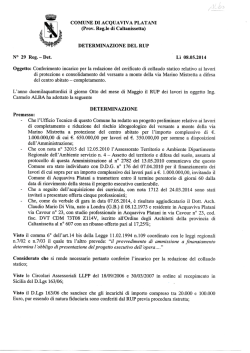 DETERMINAZIONE DEL RUP N&deg; 29 Reg.