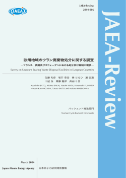 JAEA-Review-2014-006:4.61MB