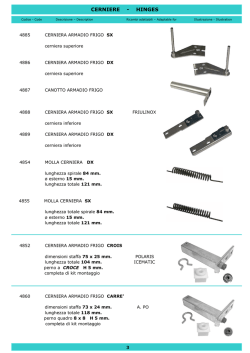 CERNIERE - HINGES - beltel