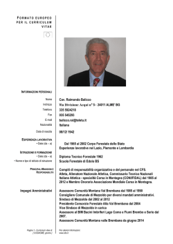 Curriculum Balicco Raimondo - Comunit&agrave; Montana Valle Brembana