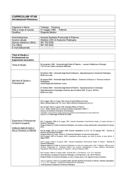 curriculum vitae