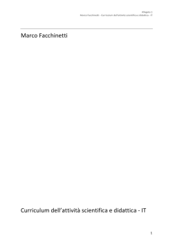 Marco Facchinetti Curric