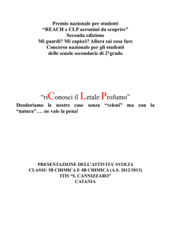 La relazione sul lavoro svolto