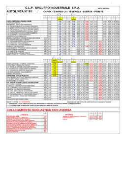 C.L.P. SVILUPPO INDUSTRIALE S.P.A. AUTOLINEA N&deg; 9/1