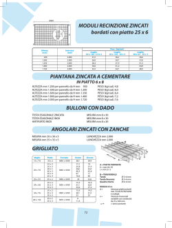 MODULI RECINZIONE ZINCATI bordati con piatto 25 x 6 PIANTANA