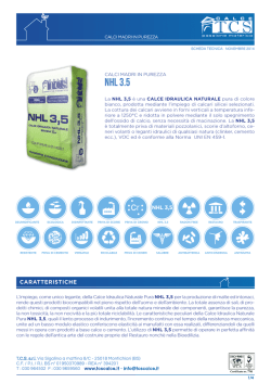 nhl 3.5 - Calce TCS