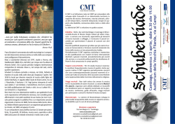 Schubertiade_2014_files/Schubertiade 2014-Volantino A4