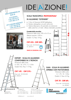 scala telescopica professionale in alluminio