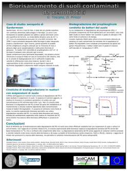 G. Toscano, D. Pirozzi