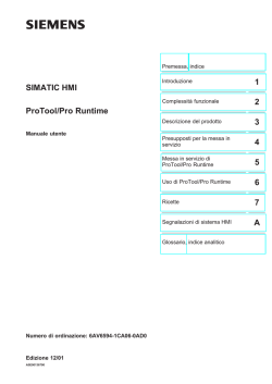 Messa in servizio di ProTool/Pro Runtime