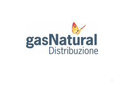 2° trim 2014 - Gas Natural Distribuzione Italia
