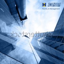 Company profile sintetico CNP SpA