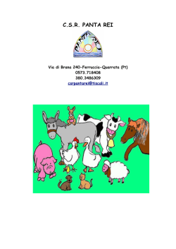 C.S.R. PANTA REI