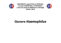 11.genere haemophilus - Università degli Studi di Perugia