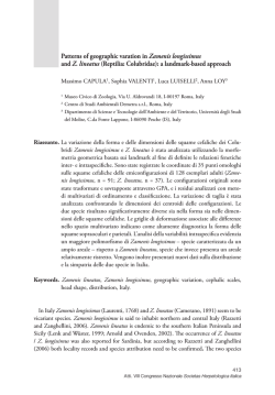 Patterns of geographic varation in Zamenis