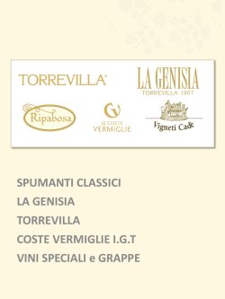 Catalogo Torrevilla