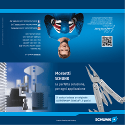 Morsetti SCHUNK