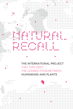 Untitled - Natural Recall