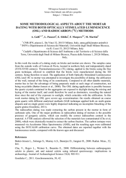 Galli et al, SOME METHODOLOGICAL ASPECTS ABOUT THE