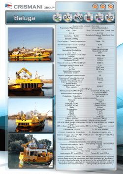Beluga - Crismani Group