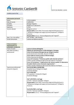 curriculum vitae