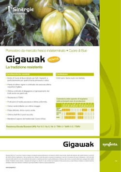 Gigawak - Syngenta
