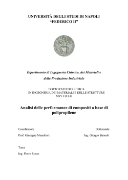 Download (5MB) - fedOA - Università degli Studi di Napoli Federico II