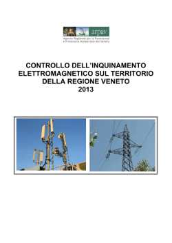 Rapporto alla Regione 2013