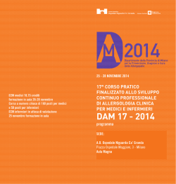 DAM 17 - 2014 - iDea Congress