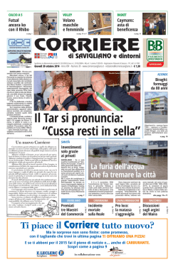 Il Tar si pronuncia: &ldquo;Cussa resti in sella&rdquo;