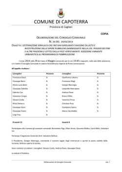 Deliberazione del Consiglio Comunale n. 26 del 29/05/2014