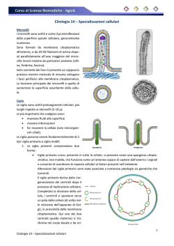 Citologia 14 - Specializzazioni cellulari