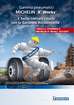 Scarica modulo - Michelin Veicoli Pesanti