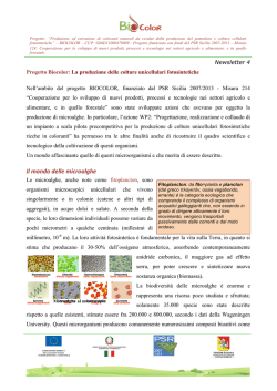 Newletter 4_REV - Progetto Biocolor