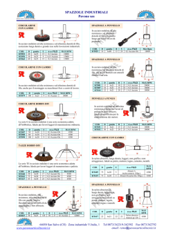 SPAZZOLE INDUSTRIALI Pavone sas co